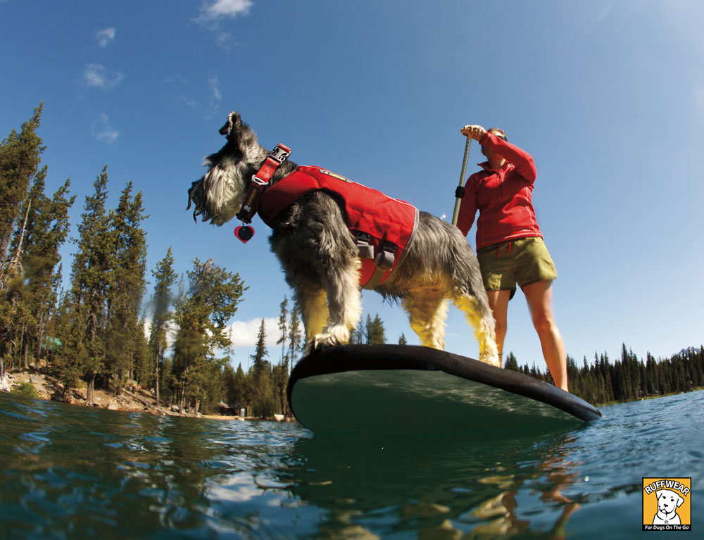 Ambacht Vergelden Kanon Ruffwear zwemvest hond - Hondenwoordenboek