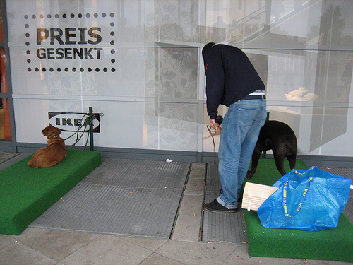 Actie Kantine Gezichtsvermogen Parkeerplaats voor de hond bij IKEA - Hondenwoordenboek